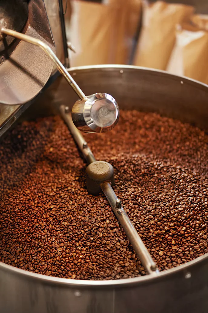 Coffee beans roasting in a drum roaster